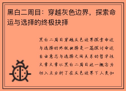 黑白二周目：穿越灰色边界，探索命运与选择的终极抉择